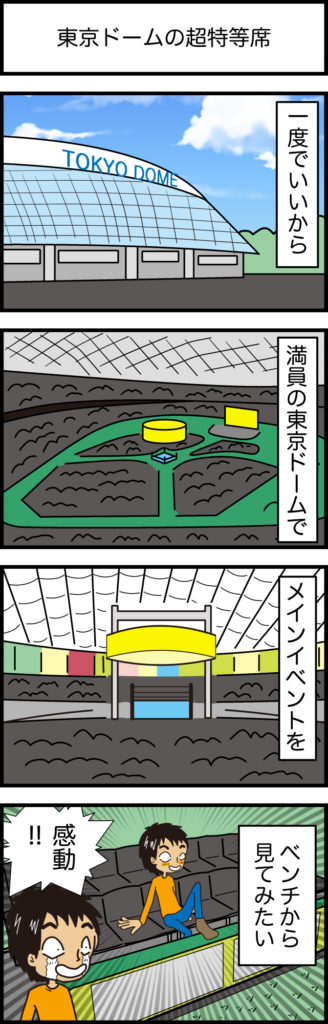 東京ドームの超特等席