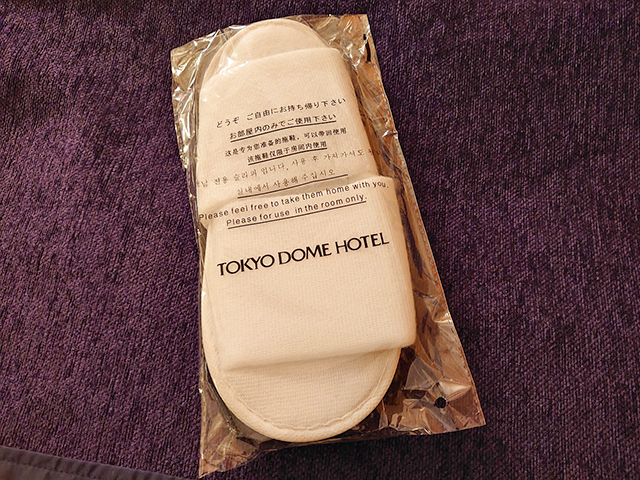 東京ドームホテルに宿泊する！プロレスファン憧れの部屋・設備を紹介